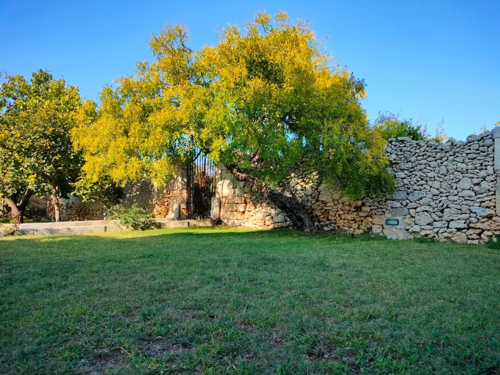 Guest house Masseria Furca *